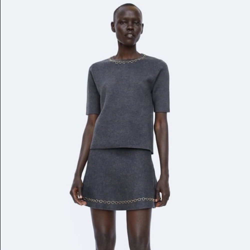 NEW NEVER USED ZARA SKIRT AND TOP SZ S